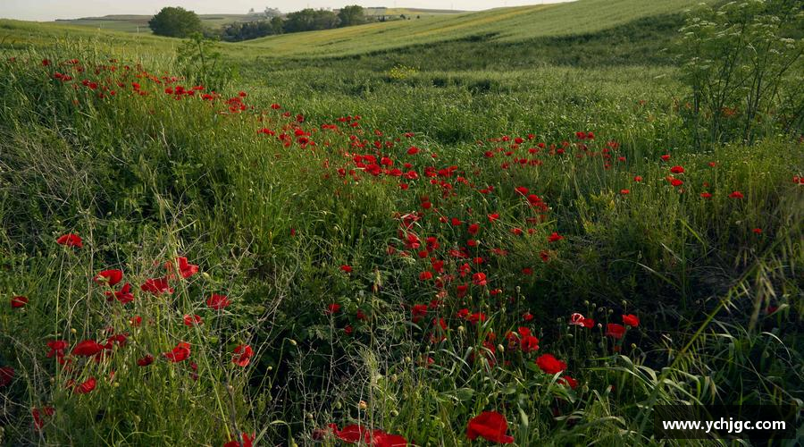 认识彩神vll注册登录